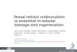 Renal retinol reabsorption is essential in tubular damage and regeneration Jan Hinrich Bräsen, Philine Böckmann, Volker Maus, Melina Nieminen 1, Duska