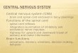 Central nervous system (CNS)  brain and spinal cord enclosed in bony coverings  Functions of the spinal cord  spinal cord reflexes  integration (summation