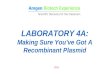 LABORATORY 4A: Making Sure You’ve Got A Recombinant Plasmid 2014