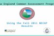 Using the Fall 2011 NECAP Results New England Common Assessment Program