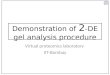 Demonstration of 2 -DE gel analysis procedure Virtual proteomics laboratory IIT-Bombay