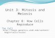 The Cell  Unit 3: Mitosis and Meiosis Chapter 8: How Cells Reproduce