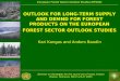 Seminar on Strategies for the sound use of wood, Poiana Brasov, Romania, March 24-27 2003 European Forest Sector Outlook Studies (EFSOS) OUTLOOK FOR LONG-TERM