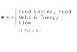Food Chains, Food Webs & Energy Flow IB Topic 5.1