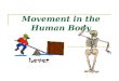 Movement in the Human Body. Your muscular system, skeletal system and nervous system work together to move your body.  