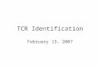 TCR Identification February 13, 2007. The elusive TCR “The study of the T cell receptor has been the subject of many studies, many of which have led to