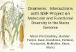 Gramene: Interactions with NSF Project on Molecular and Functional Diversity in the Maize Genome Maize PIs (Doebley, Buckler, Fulton, Gaut, Goodman, Holland,