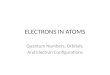 ELECTRONS IN ATOMS Quantum Numbers, Orbitals, And Electron Configurations