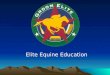 Elite Equine Education What is it? Groom Elite classes and certification GE099, GE101, GE201