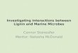 Investigating Interactions between Lignin and Marine Microbes Connor Stonesifer Mentor: Natasha McDonald
