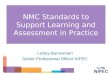 NMC Standards to Support Learning and Assessment in Practice Lesley Barrowman Senior Professional Officer NIPEC