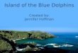 Island of the Blue Dolphins Created by: Jennifer Hoffman