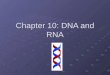 Chapter 10: DNA and RNA DNA Deoxyribonucleic acid Structure of DNA Made up of four subunits called nucleotides Made up of four subunits called nucleotides