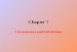 Chapter 7 Chromosomes and Cell division. Chromosomes, DNA and genes Chromosomes are present in the nucleus. When the cell is at rest, the chromosomes