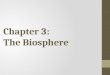 Chapter 3: The Biosphere. Warm Up 4/20 What is Ecology? Explain in your words after looking at the vocab