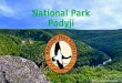 National Park Podyji. Information Podyjí National Park is one of the four national parks of the Czech Republic. Podyjí National Park with an area smallest