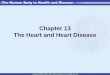 Chapter 13 The Heart and Heart Disease. Location, Size, and Position of the Heart Triangular organ located in mediastinum with two thirds of the mass