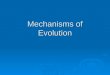 Mechanisms of Evolution. Evolution  Evolution occurs as a population’s genes & their frequencies change over time (due to mutations)  Gene pool- all