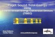 Puget Sound Tidal Energy Using Tidal In-Stream Energy Conversion Devices (TISEC)  Daryl Williams Tulalip Tribes