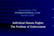 Government 1740 INTERNATIONAL LAW Summer 2008 Individual Human Rights: The Problem of Enforcement