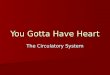 You Gotta Have Heart The Circulatory System. Circulatory System Consists of… Blood Vessels Blood Vessels Blood Blood Heart Heart