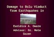 Damage to Bolu Viaduct from Earthquakes in Turkey Euridice A. Oware Advisor: Dr. Mete Sozen