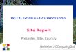 WLCG GridKa+T2s Workshop Site Report --- Presenter, Site, Country