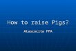 How to raise Pigs? Atascocita FFA. What do I need? 1 – Supply Box 1 – Feed Scoop 2 – Show Sticks 1 – Feed Bucket 1 – Brush 1 – Rubber Feed Bowl or 1 –