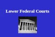 Lower Federal Courts. Federal District Courts U.S. divided into 94 districts Each state has at least one district. Large states like Texas, California