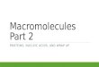 Macromolecules Part 2 PROTEINS, NUCLEIC ACIDS, AND WRAP UP