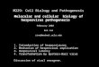 M229: Cell Biology and Pathogenesis Molecular and cellular biology of herpesvirus pathogenesis February 2002 Ren Sun rsnu@mednet.ucla.edu 1. Introduction