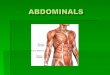 Made up of three major muscles  Transversus abdominis  It is a the innermost muscle. It is a flat muscle that is immediately between the Rectus Abdominis