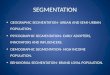 SEGMENTATION GEOGRAPHIC SEGMENTATION- URBAN AND SEMI-URBAN POPULATION. PSYCOGRAPHIC SEGMENTATION- EARLY ADOPTERS, INNOVATORS AND INFLUENCERS. DEMOGRAPHIC