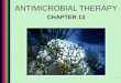 1 ANTIMICROBIAL THERAPY CHAPTER 13. 2 Chemotherapeutic Agents Antibiotics: bacteriocidal vs bacteriostatic Synthetic Drugs vs natural product