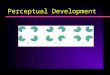 Perceptual Development. General Issues Why study perceptual development Erin – why is vision so quick to develop? How different from cognitive development?