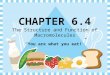 CHAPTER 6.4 The Structure and Function of Macromolecules “You are what you eat!”