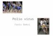 Polio virus Faris Bakri. Introduction The cause of poliomyelitis Polios: gray Myelos: marrow or spinal cord Global eradication is anticipated in 21 st