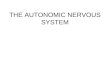THE AUTONOMIC NERVOUS SYSTEM. INTRODUCTION ANS in the Structural Organization of the Nervous System