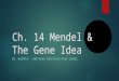 Ch. 14 Mendel & The Gene Idea MS. WHIPPLE – BRETHREN CHRISTIAN HIGH SCHOOL