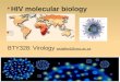 HIV molecular biology BTY328: Virology wstafford@uwc.ac.za