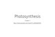 Photosynthesis Chapter 4 