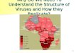 1 Why Do We Need To Understand the Structure of Viruses and How they Replicate? 