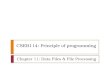 CSEB114: Principle of programming Chapter 11: Data Files & File Processing