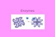 Enzymes. Characteristics of Enzymes 1.Proteins 1.Monomer is: _______ ______ 2.Catalysts a.Start or speed up chemical reactions without being used up