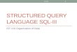 STRUCTURED QUERY LANGUAGE SQL-III IST 210 Organization of Data IST210 1