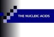 THE NUCLEIC ACIDS. The history of DNA…. Friedrich Miescher Bavarie Oswald Avery Edwin Chargaff Meselsohn and Stahl Hershey and Chase Watson, Crick, Wilkins