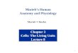 1 Marieb’s Human Anatomy and Physiology Chapter 3 Cells: The Living Units Lecture 8 Marieb  Hoehn