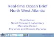 GODAE Final Symposium Ocean Briefings Real-time Ocean Brief North West Atlantic Contributors: Naval Research Laboratory Mercator-Ocean Fisheries and Oceans