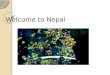 Welcome to Nepal. Kathmandu, Nepal Government of the Nepalese Federal Democratic Republic of Nepal ◦ The worlds newest republic ◦ Gained independence