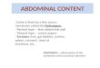 ABDOMINAL CONTENT -Cavity is lined by a thin serous membrane called the Peritoneum - Parietal layer – lines abdominal wall - Visceral layer – covers organs